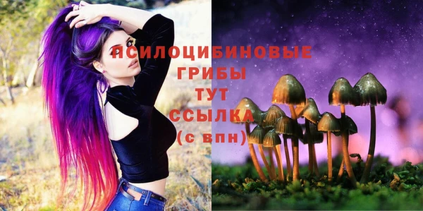метадон Арсеньев