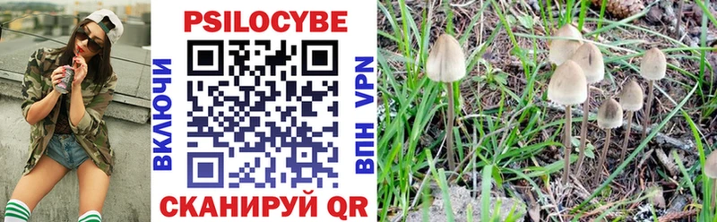 Галлюциногенные грибы MAGIC MUSHROOMS сколько стоит Солнечногорск